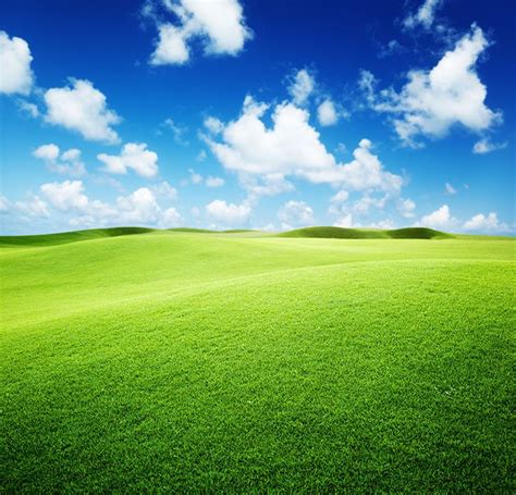 Green Grassy Meadows And Blue Sky Scalable Custom Wall Mural Na3505