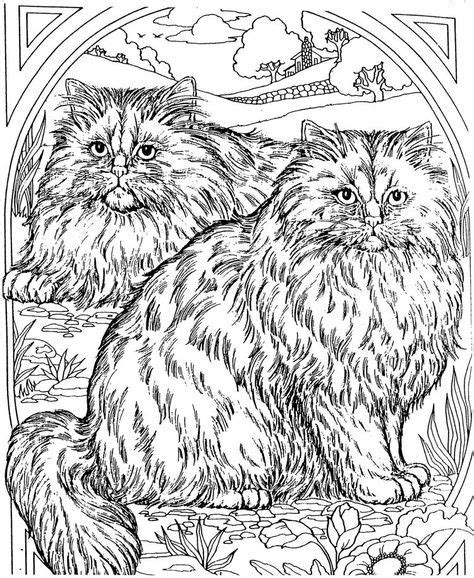 Norwegian Forest Cat Coloring Pages Casandra Hawks Coloring Pages