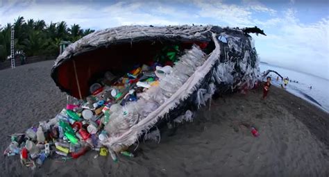 Refuseplastic』 海洋汚染 に警鐘 クジラ 砂浜 フィリピン