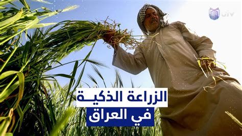 الزراعة الذكية أمل العراق قبل اختفاء المحاصيل Youtube