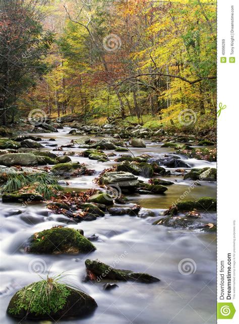 A Flowing Mountain Stream In Smoky Mountain National Park Stock Image