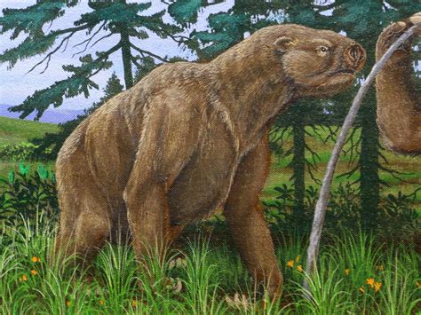 The Giant Sloths Of North America MudFooted