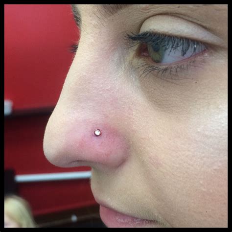 Nose Piercing By Poh Nose Piercing Piercing Types Of Piercings