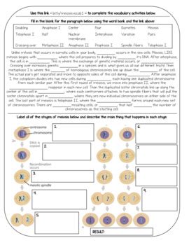 Biology Vocabulary Practice Meiosis By Get Wise With Weissert Tpt