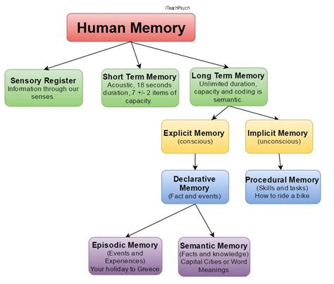 Types Of Human Memory Human Memory Memory Psychology Episodic Memory