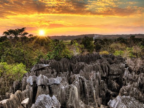 Tsingy De Bemaraha Strict Nature Reserve Madagascar Dennis Van De