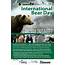 Celebrate International Bear Day April 4th  Raincoast Conservation