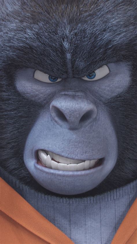 Wallpaper Sing Gorilla Best Animation Movies Of 2016 Movies 12473