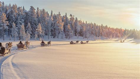 Lapland Bucketlists 30 Things You Want To Experience In