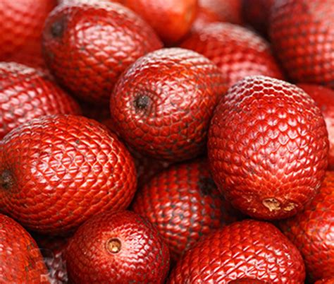 Frutas Tipicas Da Amazonia