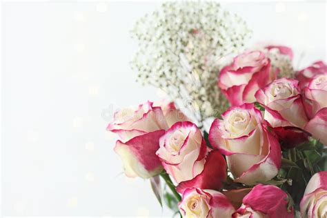 Pink And White Roses With Babys Breath Stock Image Image Of Florist