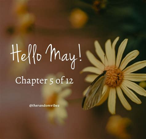 Hello May Chapter 5 Of 12 Happymayquotes Mayquotes 2021mayquotes May2021quotes