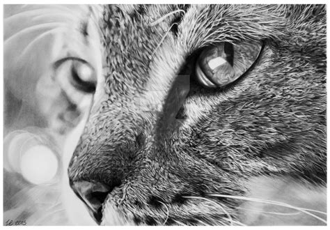 25 beautiful and realistic animal drawings around the world from webneel.com. 40 Beautiful and Realistic Animal Sketches For Your ...