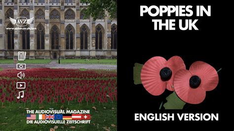 The Wearing Of Poppies In The Uk Remembrance Tradition And Controversy
