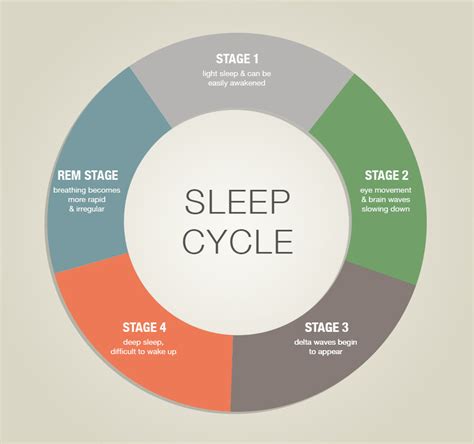 수면 주기 단계와 신체에 미치는 영향 네이버 블로그