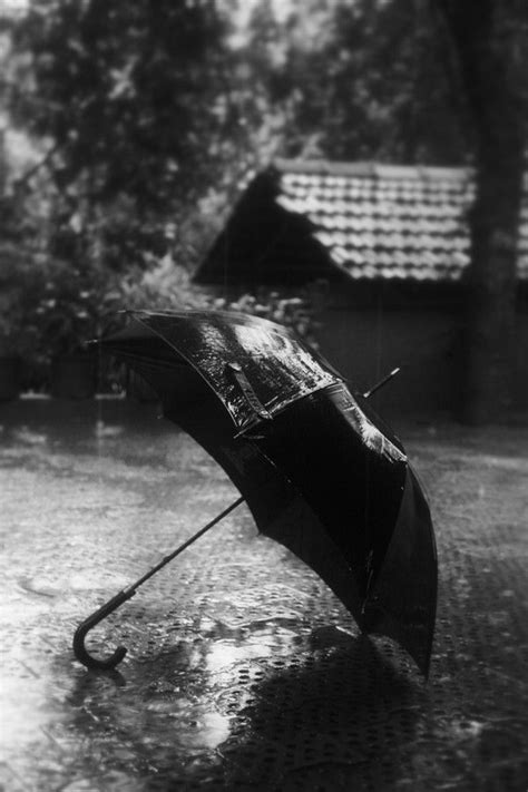 815 Best Rain Images On Pinterest Rain Days In The Rain And Rainy Days
