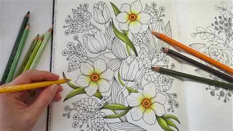 Coloring book page for children with colorful avocado and sketch to color. HOW I COLOR DAFFODIL | Blomstermandala Coloring Book ...