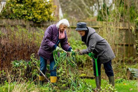 Jardinage Pour Seniors Avantages Et 5 Projets Faciles à Essayer
