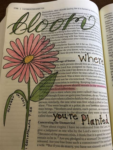 Pin On My Bible Journaling Journey