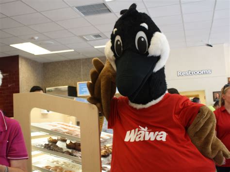 Wawa Opens In Huntingdon Valley Patch