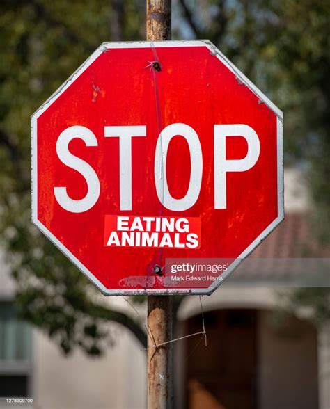 Stop Eating Animals Stop Sign High Res Stock Photo Getty Images