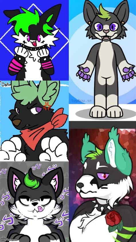 I Used 5 Different Picrews To Resemble My Fursona Imgflip
