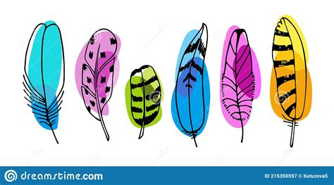 Collection Of Bright Bird Feathers Different Shape And Color Vector