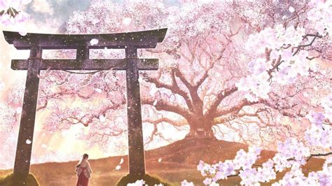 Anime Sakura Blossom Wallpapers Wallpaper Cave