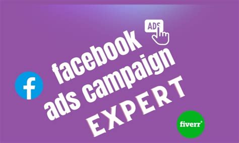 Setup And Optimize Your Facebook Ads Campaign By Nupurakther490 Fiverr