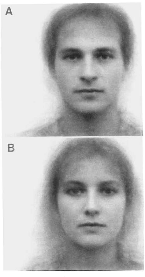 figure 3 from human homo sapiens facial attractiveness and sexual selection the role of