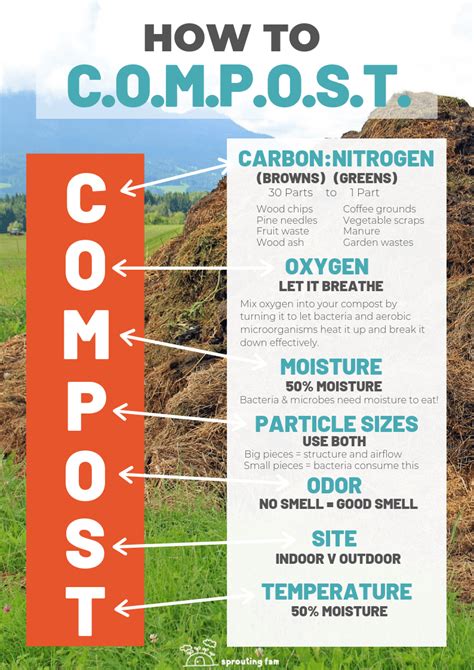How To Start A Compost Pile Composting Infographic Pdf Composting