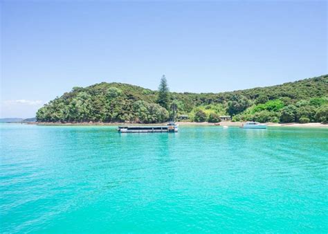 15 Best Things To Do In The Bay Of Islands New Zealand