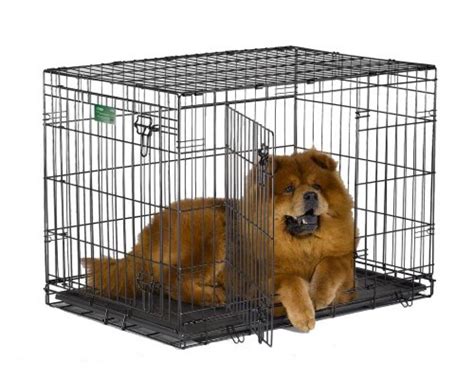 Midwest Icrate 36 Double Door Folding Metal Dog Crate W Divider Panel