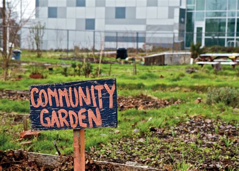 지속가능한 삶 시리즈 커뮤니티 가든community Garden 크리스천 라이프 에듀 라이프