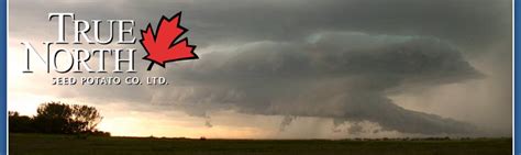 On the street of oxford west court and street number is 20. :: True North Seed Potato Company :: Northern Vigor in Detail