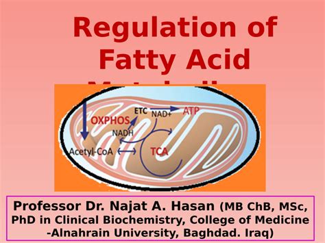 Pdf Regulation Of Fatty Acid Metabolism