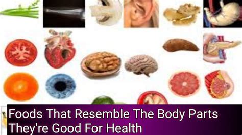Foods That Resemble The Body Parts Theyre Good For Healthuses Of Food Food Benefits Youtube