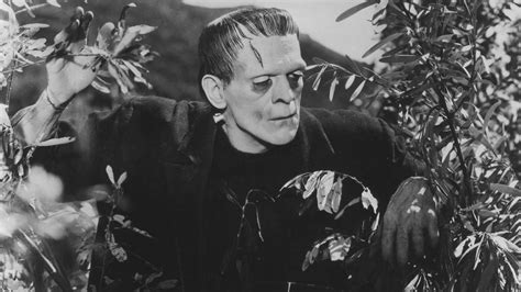 Frankenstein 1931 Film Society Of Lincoln Center