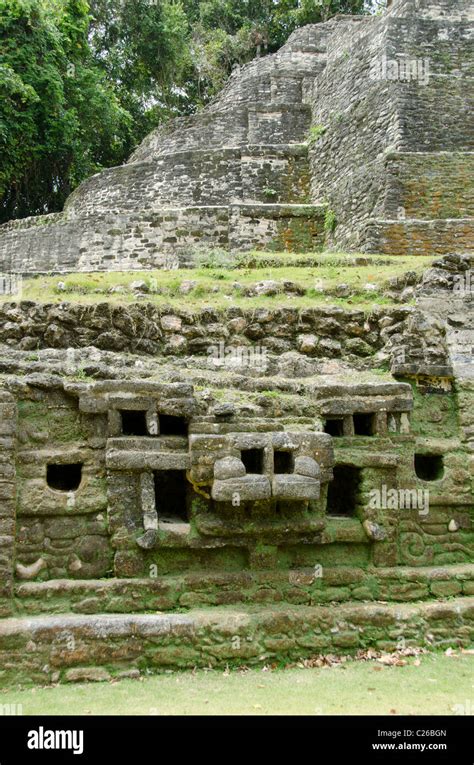 Central America Belize Lamanai Historic Mayan Ruins Jaguar Temple