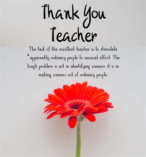 80 Thank You Teacher Messages And Quotes What Is The Best Message For