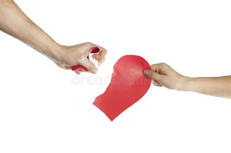 The Hands Of People Tearing The Heart Apart Valentine`s Day Concept