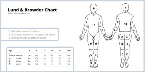 Body Surface Area Chart Adults
