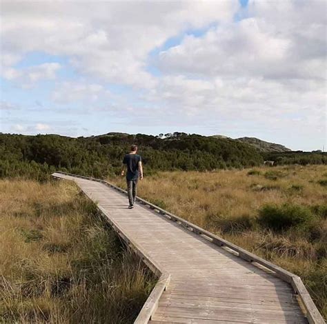 Phillip Island Walks And Hikes