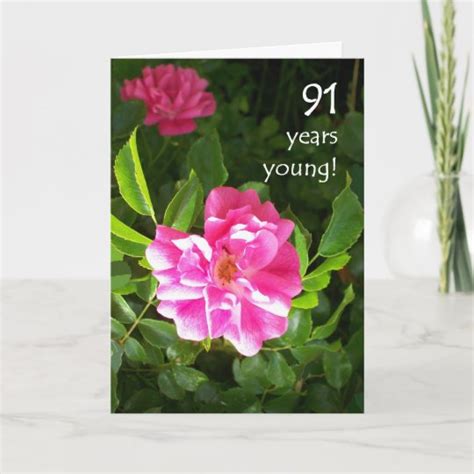 91st Birthday Card Pink Roses Uk