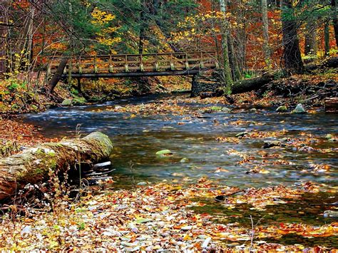 Creek In Fall Free Stock Photo Public Domain Pictures