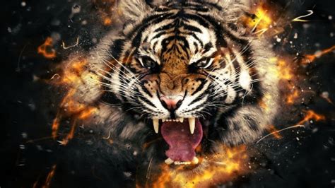 Dark Evil Horror Spooky Creepy Tiger Tiger Wallpaper Tiger Pictures