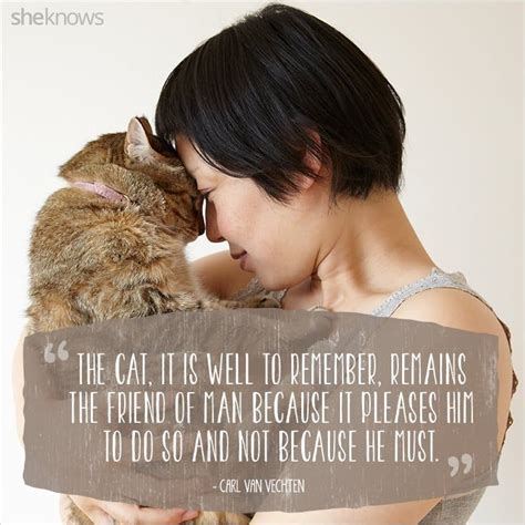 50 Cat Quotes That Only Feline Lovers Would Understand With Images