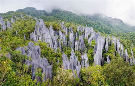 Gunung Mulu National Park Malaysia Travel Guide History Photos