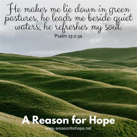 The good shepherd lays down his life for the sheep. Psalm 23:2-3a — A Reason for Hope with Don Patterson