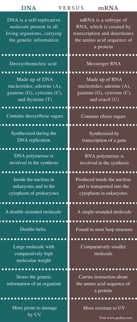 A guide for authors and other relevant information for submission of manuscripts is available on the instructions for authors page. Difference Between DNA and mRNA | Definition, Structure, Function